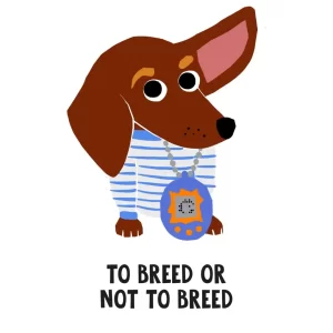 How It Works - Images